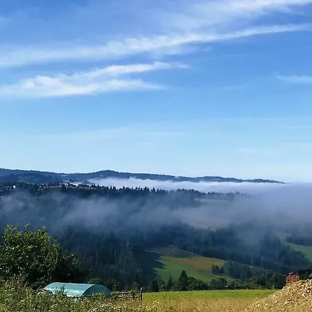 Wilk I Owca Chalé *