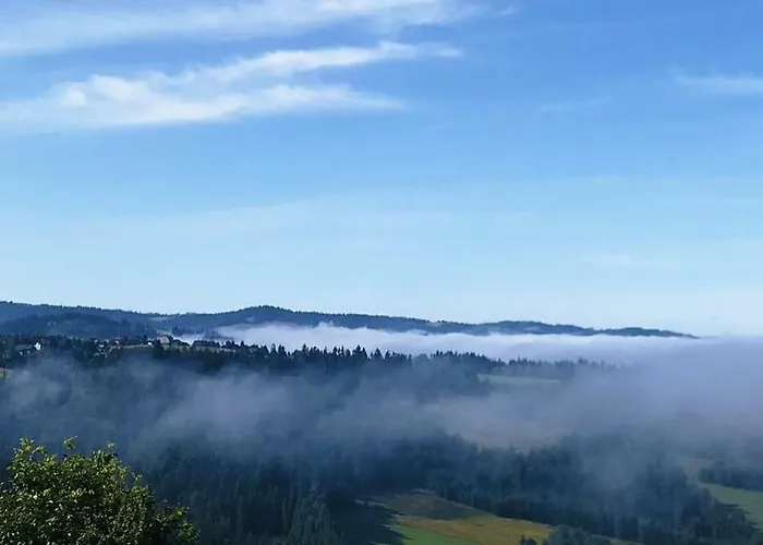 Wilk I Owca Dağ evi *